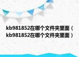 kb981852在哪个文件夹里面（kb981852在哪个文件夹里面）