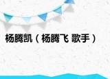 杨腾凯（杨腾飞 歌手）