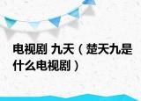 电视剧 九天（楚天九是什么电视剧）