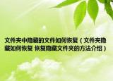 文件夹中隐藏的文件如何恢复（文件夹隐藏如何恢复 恢复隐藏文件夹的方法介绍）