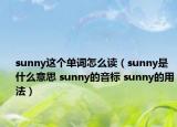 sunny这个单词怎么读（sunny是什么意思 sunny的音标 sunny的用法）