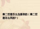 秦二世是怎么当皇帝的（秦二世是怎么死的?）