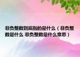 非负整数到底指的是什么（非负整数是什么 非负整数是什么意思）