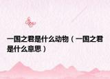 一国之君是什么动物（一国之君是什么意思）