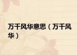 万千风华意思（万千风华）