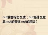 nut的音标怎么读（nut是什么意思 nut的音标 nut的用法）