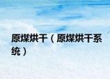 原煤烘干（原煤烘干系统）