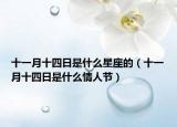 十一月十四日是什么星座的（十一月十四日是什么情人节）