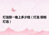 灯泡照一晚上多少钱（灯泡 照明灯泡）