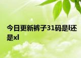 今日更新裤子31码是l还是xl