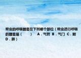 蝗虫的呼吸器官在下列哪个部位（蝗虫进行呼吸的器官是（　　）    A．气管  B．气门  C．鳃  D．肺）