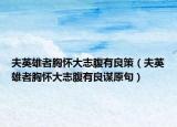 夫英雄者胸怀大志腹有良策（夫英雄者胸怀大志腹有良谋原句）