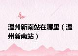 温州新南站在哪里（温州新南站）