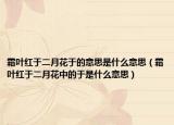 霜叶红于二月花于的意思是什么意思（霜叶红于二月花中的于是什么意思）