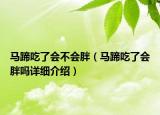 马蹄吃了会不会胖（马蹄吃了会胖吗详细介绍）