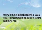 OPPO手机能不能升级鸿蒙系统（oppo可以升级鸿蒙系统的机型 oppo可以用鸿蒙系统吗介绍）