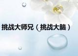 挑战大师兄（挑战大脑）