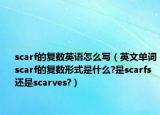 scarf的复数英语怎么写（英文单词scarf的复数形式是什么?是scarfs还是scarves?）