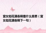 宫女如花满春殿是什么意思（宫女如花满春殿下一句）