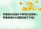 开发商大证没办下来可以交房吗（开发商没办大证就交房了介绍）