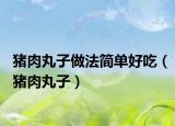 猪肉丸子做法简单好吃（猪肉丸子）