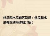 丝瓜和水瓜有区别吗（丝瓜和水瓜有区别吗详细介绍）