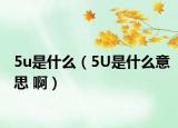 5u是什么（5U是什么意思 啊）