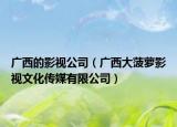 广西的影视公司（广西大菠萝影视文化传媒有限公司）