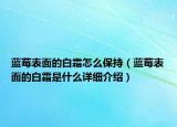 蓝莓表面的白霜怎么保持（蓝莓表面的白霜是什么详细介绍）