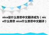 nice是什么意思中文翻译成为（nice什么意思 nice什么意思中文翻译）