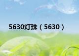 5630灯珠（5630）