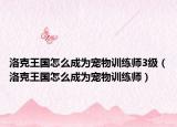 洛克王国怎么成为宠物训练师3级（洛克王国怎么成为宠物训练师）
