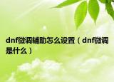 dnf微调辅助怎么设置（dnf微调是什么）