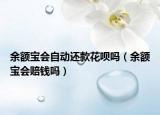 余额宝会自动还款花呗吗（余额宝会赔钱吗）