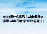 wide是什么意思（wide是什么意思 wide的音标 wide的用法）
