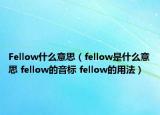 Fellow什么意思（fellow是什么意思 fellow的音标 fellow的用法）