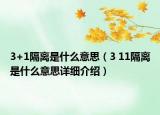 3+1隔离是什么意思（3 11隔离是什么意思详细介绍）