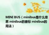 MINI BUS（minibus是什么意思 minibus的音标 minibus的用法）