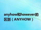 anyhow和however的区别（ANYHOW）