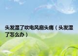 头发湿了吹电风扇头痛（头发湿了怎么办）
