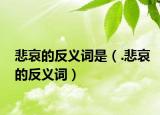 悲哀的反义词是（.悲哀的反义词）