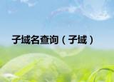子域名查询（子域）