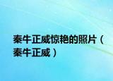 秦牛正威惊艳的照片（秦牛正威）