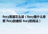 foxy英语怎么读（foxy是什么意思 foxy的音标 foxy的用法）