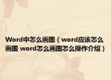 Word中怎么画图（word应该怎么画图 word怎么画图怎么操作介绍）