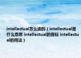 intellectual怎么读的（intellectual是什么意思 intellectual的音标 intellectual的用法）