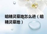 暗精灵墓地怎么进（暗精灵墓地）