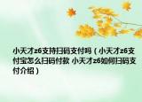 小天才z6支持扫码支付吗（小天才z6支付宝怎么扫码付款 小天才z6如何扫码支付介绍）