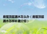 房屋顶层漏水怎么办（房屋顶层漏水怎样补漏介绍）