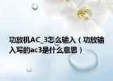 功放机AC_3怎么输入（功放输入写的ac3是什么意思）